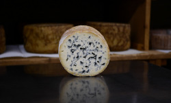 Alléosse Maitre Artisan Affineur Fromager - Fourme d'Ambert AOP affinée au Sauternes Rayne Vigneau 2002 500g