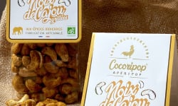 Cocoripop - Apéripop aux épices Indiennes