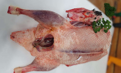 Ferme de la Paumerais - CANARD (x1) - 4,3 Kg