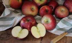 Le Verger de Crigne - Pommes Dalinsweet Bio (grand Calibre) - 10kg