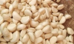 L’Oliveraie du Coudon - Ail Confit Doux à l’Huile d’Olive Vierge Extra – en Pot 1650gr