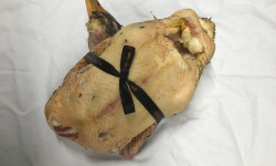 Des Poules et des Vignes à Bourgueil - Canard - Cane de Rouen