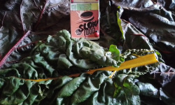 LES JARDINS DE KARINE - Feuilles de blette surgelées - 500g