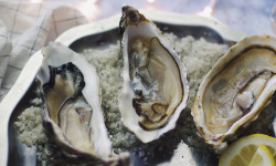 Les Huîtres Courdavault Alain & Fils - Fines De Claires Marennes Oléron n°0 - 48 huîtres