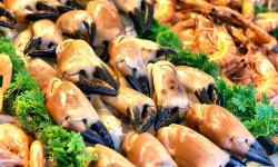 Brest Marée - Pinces de Tourteaux cuites - 1kg