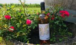 Domaine du Buisson - Vin rosé AOP Bordeaux - 2023 - 6x75cl