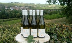 Domaine Doudeau-Leger - Vent d'Ange - Vin de Pays du Val de Loire Blanc IGP 2023 - 6 Bouteilles