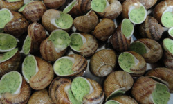 Limero l'Escargot Mayennais - Coquilles D'escargots Gros Gris FRAIS AU BEURRE PERSILLE