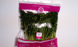 Les Herbes du Roussillon - Persil Frisé Frais - 500g