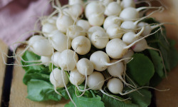 Maison Argentain - Radis Blanc - 200g