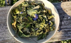 La Cabane à plantes - Infusion L’Aurore
