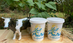 Lait Prairies du Boulonnais - Lot Fromage blanc nature au lait entier 2x500g