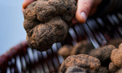 Naturélium - Brisures de truffe noire surgelées