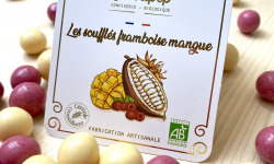 Cocoripop - soufflés mangue framboise 100g
