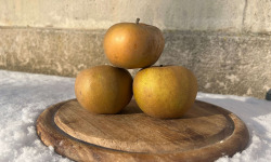La Ferme des Prun'Elles - pomme reinette grise du Canada - 1kg