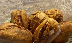 Ferme Sinsac - Panier de pain au levain pour la semaine (6 x 1kg blé et épeautre)
