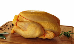 La ferme d'Enjacquet - Poulet Fermier Label Rouge Gers 1,7 kg x3