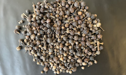 Esprit Zen - Poivre Cubèbe A Queue - 50g