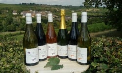 Domaine Doudeau-Leger - Coffret Découverte Des Vins Doudeau-léger - 6 Bouteilles