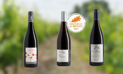 Domaine de la Chopinière du Roy - Coffret cadeau "A la découverte des vins rouges de Loire "- 3 x 75 cl