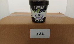 Les Glaces de la Vallée - PACK Mini yaourts glacés Myrtille "la Vallée" 24 pots de 120 ml