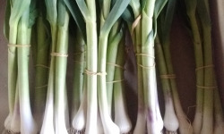 Aux Jardins des Colibris - Panier Bio "Arômes"