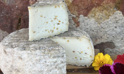 SCEA Brebis du Berry - Tomme de Brebis au Fenugrec