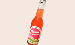 Mama Kombucha - Mama Kombucha – Framboise  Basilic – Boisson fermentée artisanale bio (carton 6x33cl)