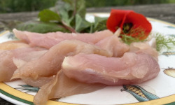 Des Poules et des Vignes à Bourgueil - Aiguillettes de poules