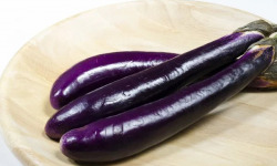 Nature et Saveurs - Ferme Aquaponique et Permacole Astérienne - Aubergine japonaise – la finesse fondante de l’été