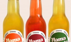 Mama Kombucha - Coffret Découverte - 3x33cl