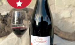 Domaine de la Chopinière du Roy - Vin rouge Saint Nicolas de Bourgueil - Cuvée coquelicot 2024 - 6x75cl