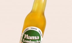 Mama Kombucha - Lot de Kombucha Baïgura 12 X 33cl - Kombucha Menthe, Piment D'espelette -