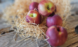 Les Jardins de Gérard - Nectarine blanche Bio - 1 kg