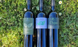 Château Balsamine - Lot Blanc Sec – AOP Gaillac – Château Balsamine – 3 Cuvées (6 bouteilles)