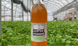 Les Nouvelles Fermes - Jus de pomme au basilic (1L) x 6