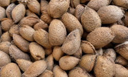 Naturélium - Amande en coque entières de la Drôme