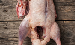 Ferme de la Paumerais - CANARD - 3,8 Kg