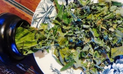 La Cabane à plantes - Infusion Au pays des merveilles