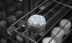 Alléosse Maitre Artisan Affineur Fromager - Crottin de Chavignol AOP au lait cru - affinage Entre-Deux