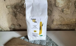 Pat'O Blé - Farine Blé T80 Bio 5kg