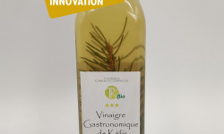 TK Bio - The Kefir et Kombucha Compagnie - Vinaigre gastronomique de Kéfir - Saveurs de la Forêt Bio 250 ml