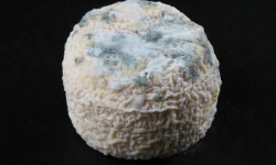 La Fromagerie Marie-Anne Cantin - Crottin De Chavignol Aop