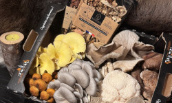 Naturélium - Panier Gourmand de Fin d’Année – Champignons d’Exception