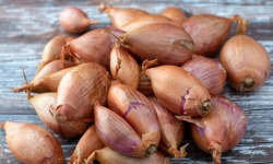 La Ferme de Goas Per - Echalotte bio - 1kg