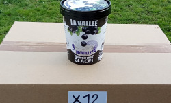 Les Glaces de la Vallée - PACK Yaourt et fruits glacés à la myrtille "la Vallée" 12 pots de 500 ml