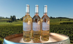 Château Haut-Lamouthe - Côtes De Bergerac Blanc Moelleux - 3x75 Cl