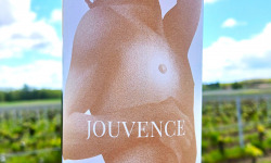 Château Jouvente - Jouvence 2022 - Graves Blanc (x6 bouteilles)