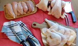 Les poulets de la Marquise - Colis Ecureuil 100% poulet bio