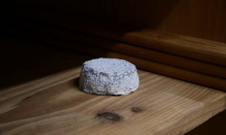 Alléosse Maitre Artisan Affineur Fromager - Selles-sur-Cher AOP au lait cru